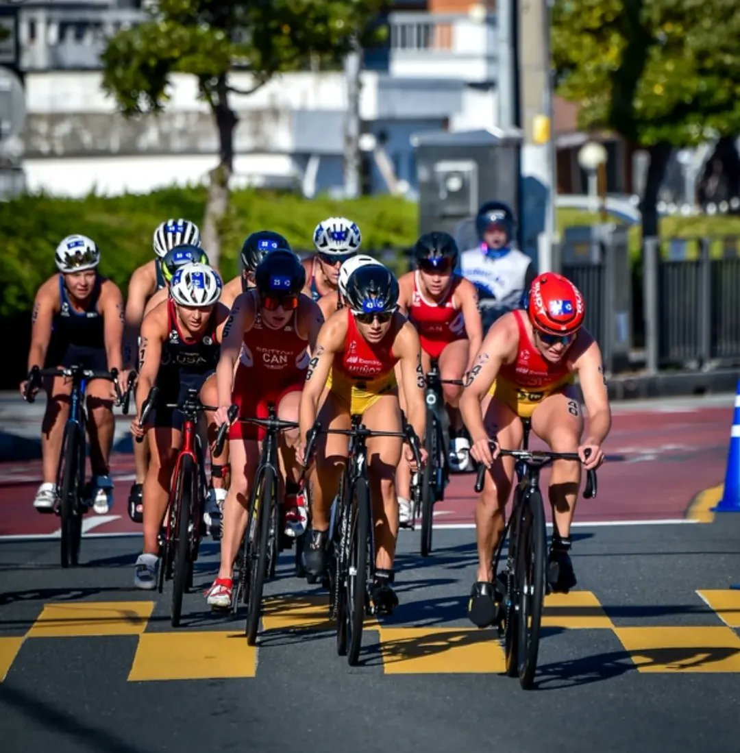 Fede Triatlón CyL tweet media