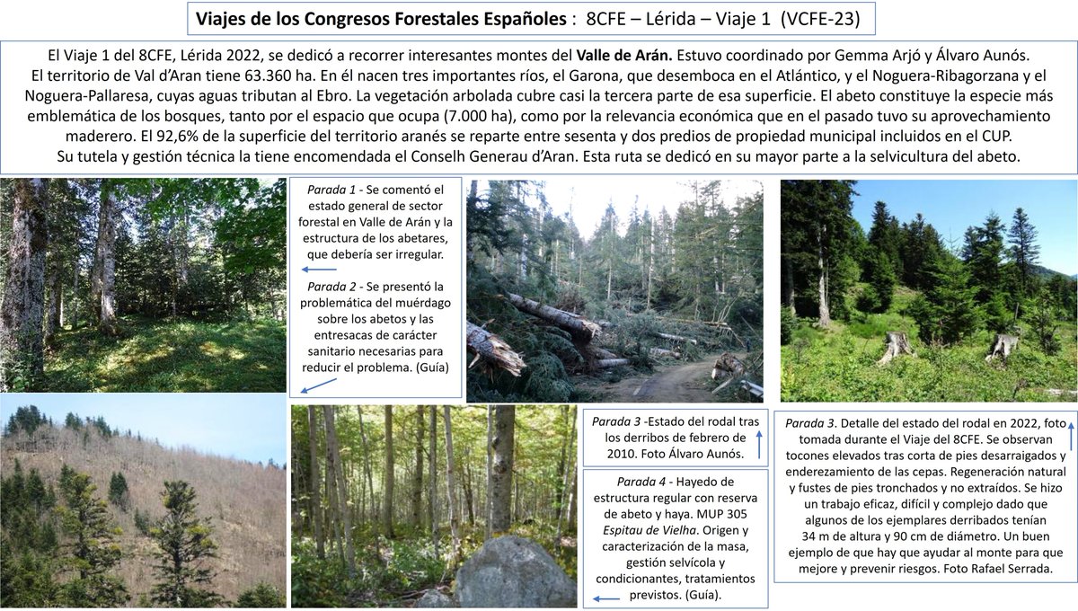 Viaje 1 del 8CFE dedicado al Valle de Arán: 8cfe.congresoforestal.es/sites/default/…. Más información sobre parada 3 en: edu.forestry.es/2023/09/abetal…. Todos los viajes del 2022 en: forestales.net/revistas/artic…. El cambio en función preferente de los montes trae cambio tratamiento y riesgos, #elMonteEnseña.