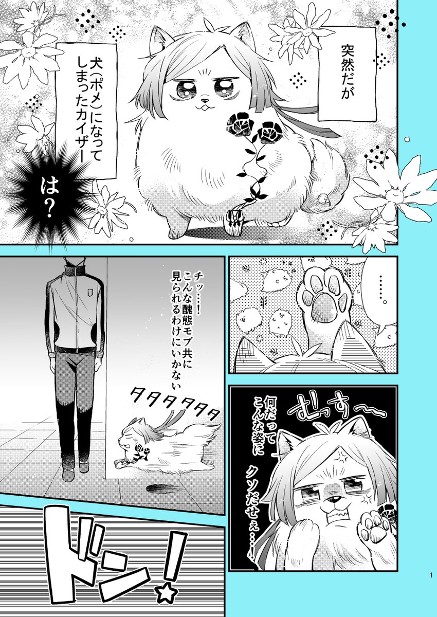 wataリンゴ tweet media