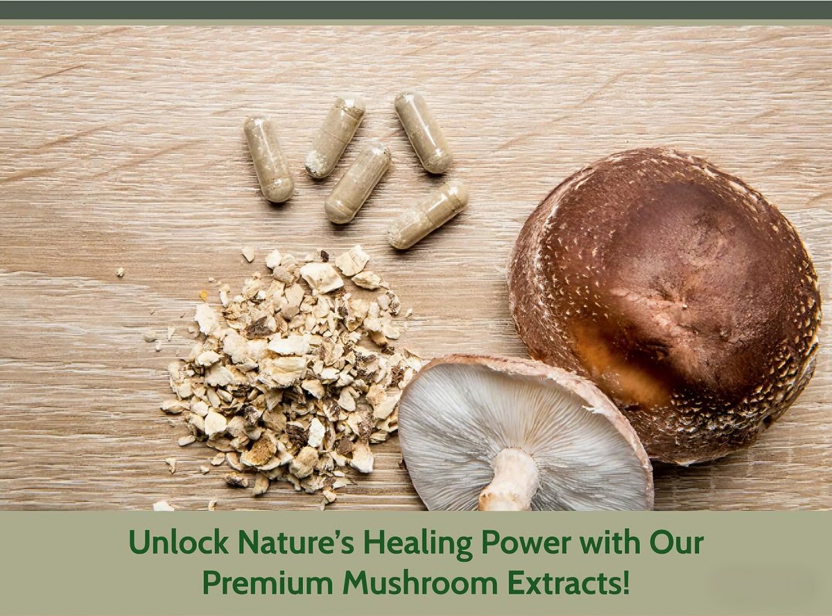 SNC888888's tweet image. 🚨 Hack Your Biology with Mushrooms!
Why 500K+ choose us:
✓ 3x more bioactive compounds 🧪
✓ 0 synthetic additives ❌
✓ 98% customer retention 📈
Try our #TurkeyTail for natural immune armor or #LionsMane for cognitive fireworks! 🧨
#Biohack #NaturalRemedies #ImmunityBoost