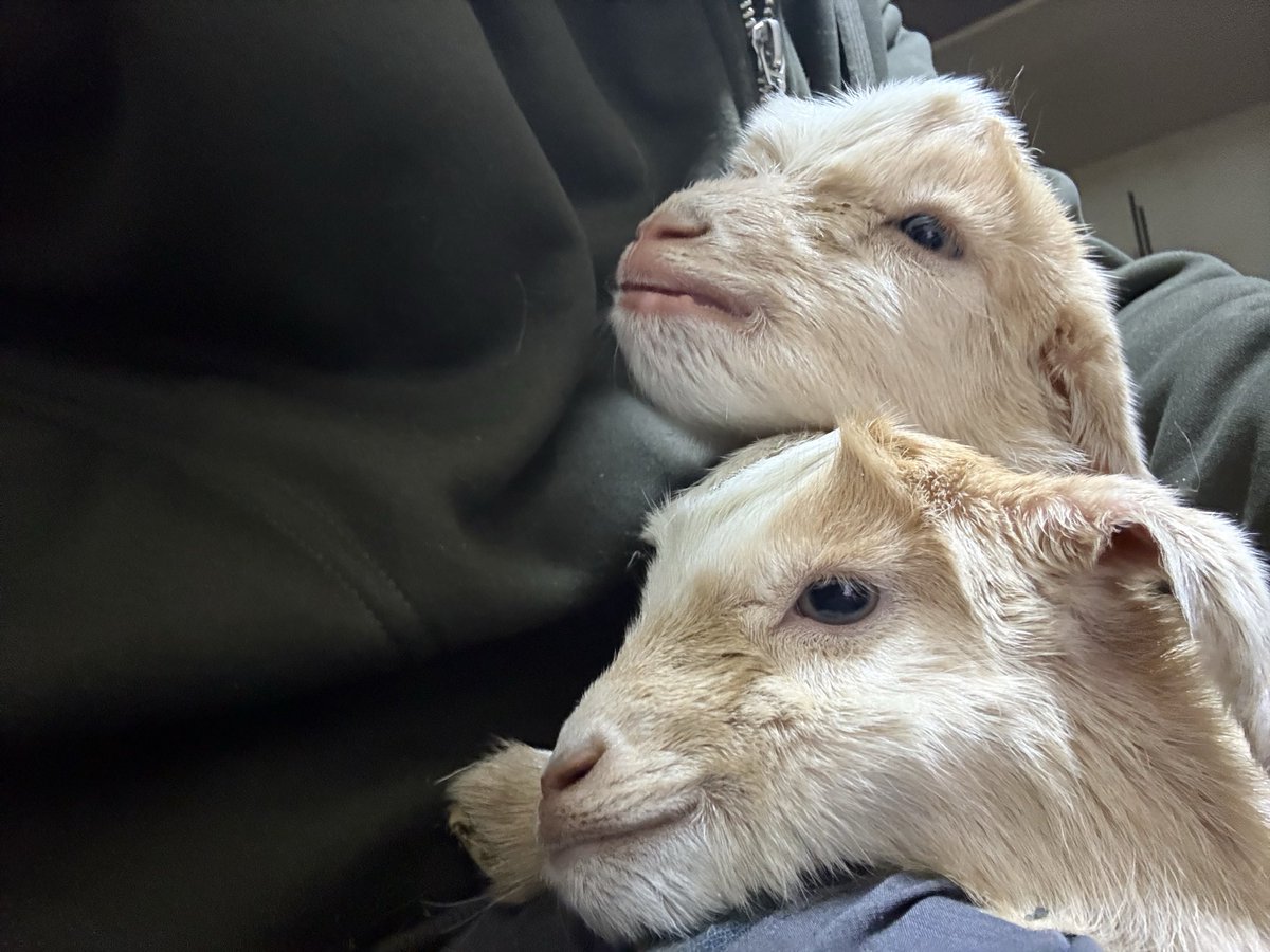 お子さん達、具合はどうですか？