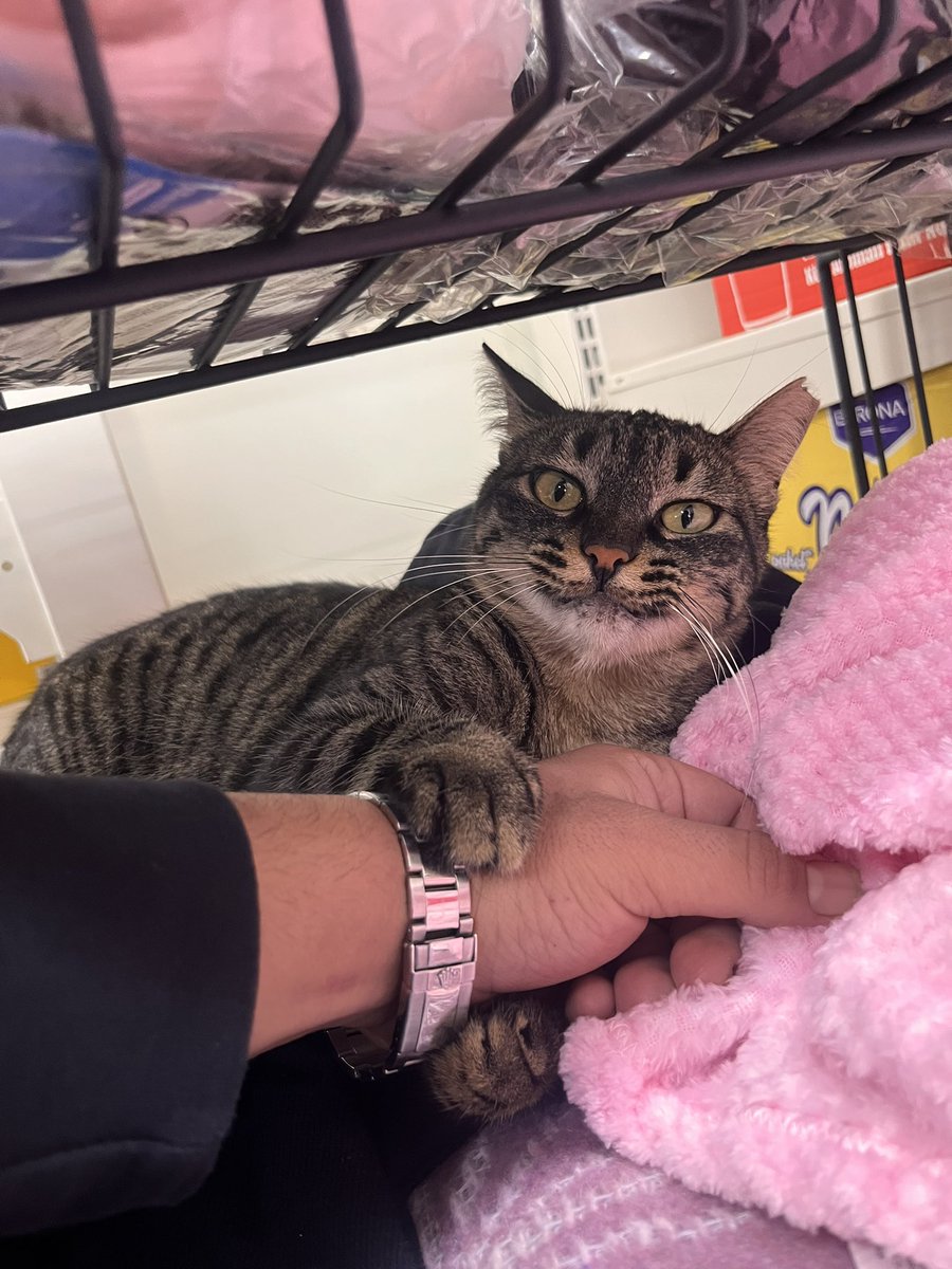 Cimer şikayet dilekçesi

İçişleri Başkanlığına gönderilmek üzere

KONU: Hayvanların Yaşam Hakkını İhlal Eden Tecrit ve Ölümle Sonuçlanan Uygulamaların Durdurulması Talebi

Ülkemizde birçok barınak ve toplama merkezinde hayvanların tecrit edilerek demir parmaklıklar ardında