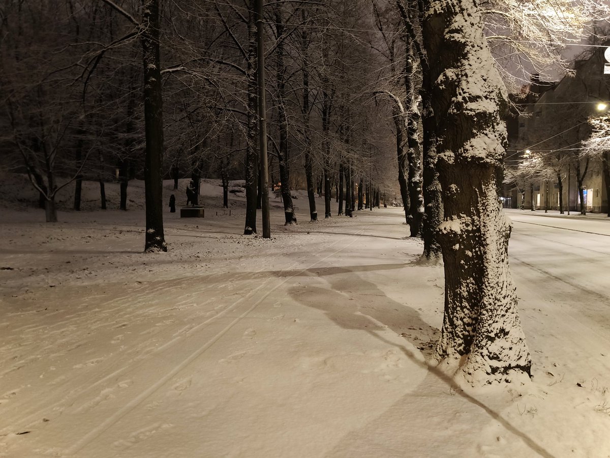 coconutmilkgirl's tweet image. first snow which i documented at 4 am last night while thinking these were the most beautiful pictures ever