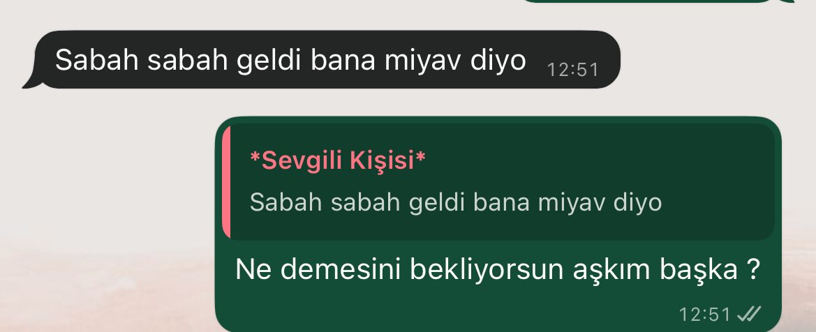 queenamatheater's tweet photo. Neymiş efendim benim kedi sabah manitaya miyav demiş ALLAH ALLAH ??? https://t.co/znOYTGe9Xl