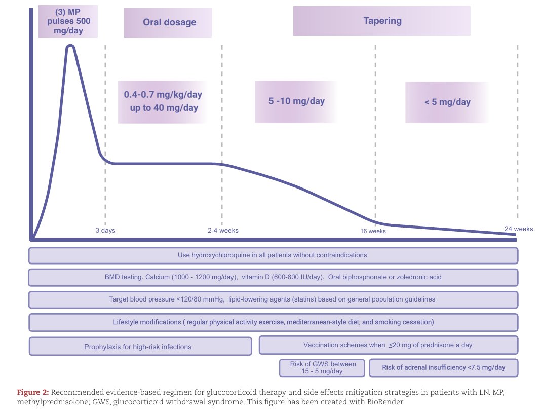 NDTsocial's tweet photo. Optimal glucocorticoid therapy in lupus nephritis

https://t.co/e6SjmOspf4 https://t.co/4Xh4zmp71v