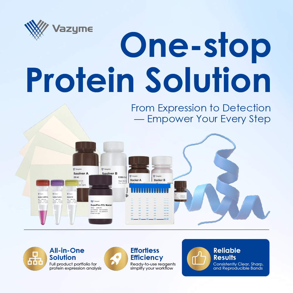 Struggling with poor detection sensitivity？
Our One-stop Protein Solution helps you get reliable results—clear, sharp, and reproducible western blot bands>>bit.ly/4i6zfq9
Plus:
🧪 Full product portfolio 
⚡ Ready-to-use reagents

#ProteinAnalysis #LifeScience