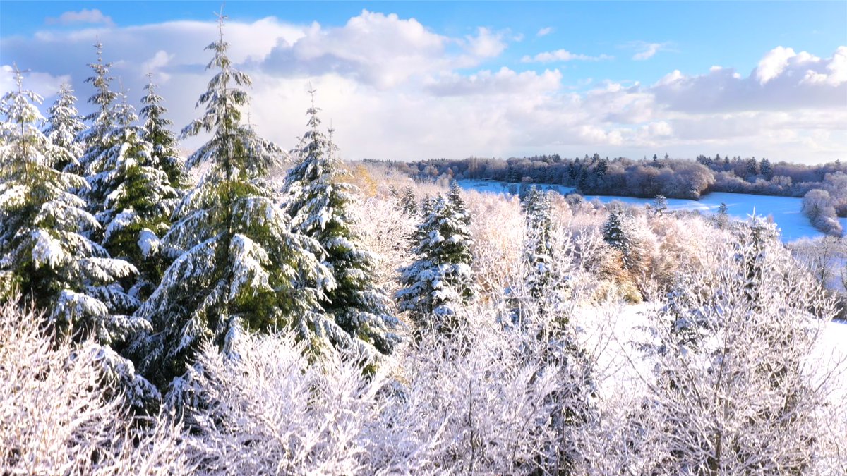 ❄️ Une partie de la Normandie se réveille sous la neige, comme ici dans l’Orne, à Orgères, près de Gacé. 

📺 Les images des premiers flocons normands sont à retrouver aujourd’hui dans Le 13H de <a href="/MSLacarrau/">Marie-Sophie Lacarrau</a> sur <a href="/TF1Info/">TF1Info</a>
