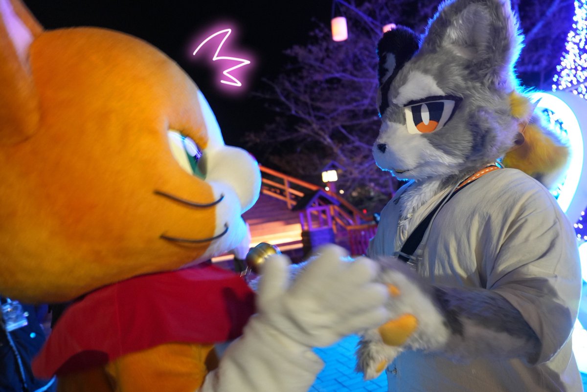 おんにゃじニャンコ仲間の ノトくんにも会えたにゃ💕 キラキラドキドキ