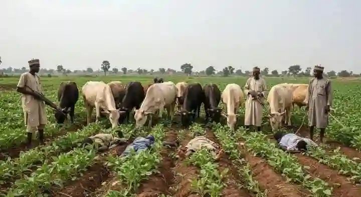 ThreadMaester's tweet image. Of course na woman type this kind thing. It&apos;s no surprise. But see the actual problems here in Nigeria. These people need education the most. Their systems of livelihood outside education: Almajiri, Cattle rearing, and Suya selling breeds room for easy coersion by the wealthy.