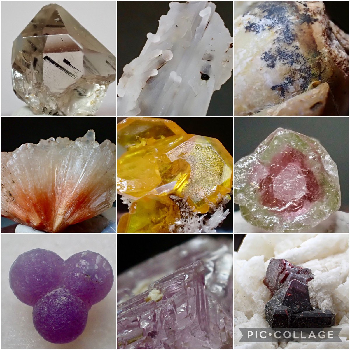 アクセサリーまとめ売り③⭐︎ 猫カメオの花園ネックレス silver925 | atelier-ci-pu