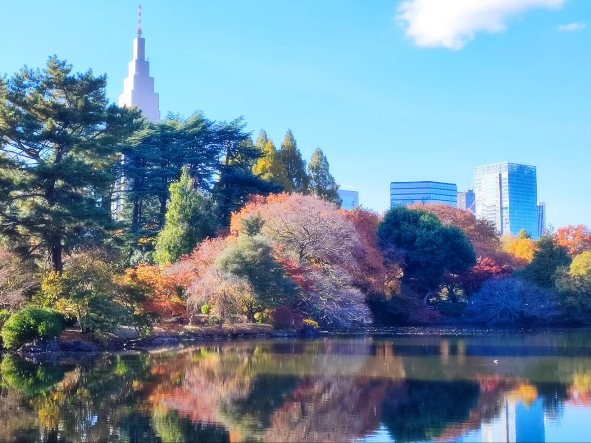 新宿御苑紅葉綺麗だったよ！