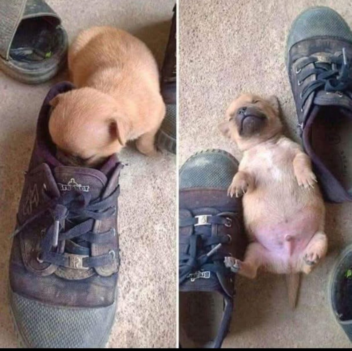 ChrisExcel102's tweet image. Situation in that car 😭😭