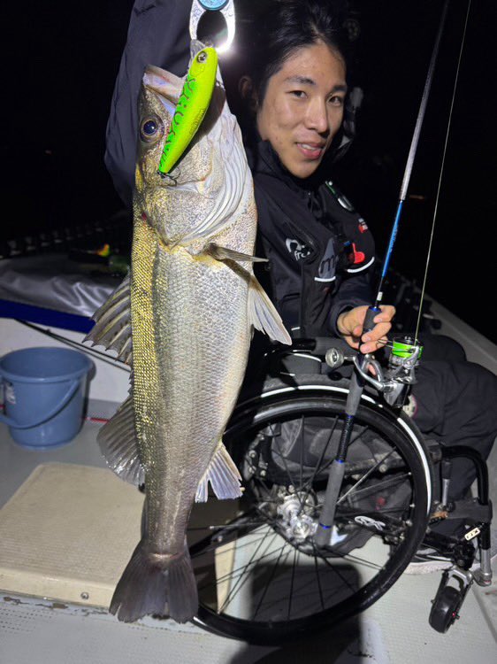 キリン@座って釣りする人 (@m16kim) / Posts / X