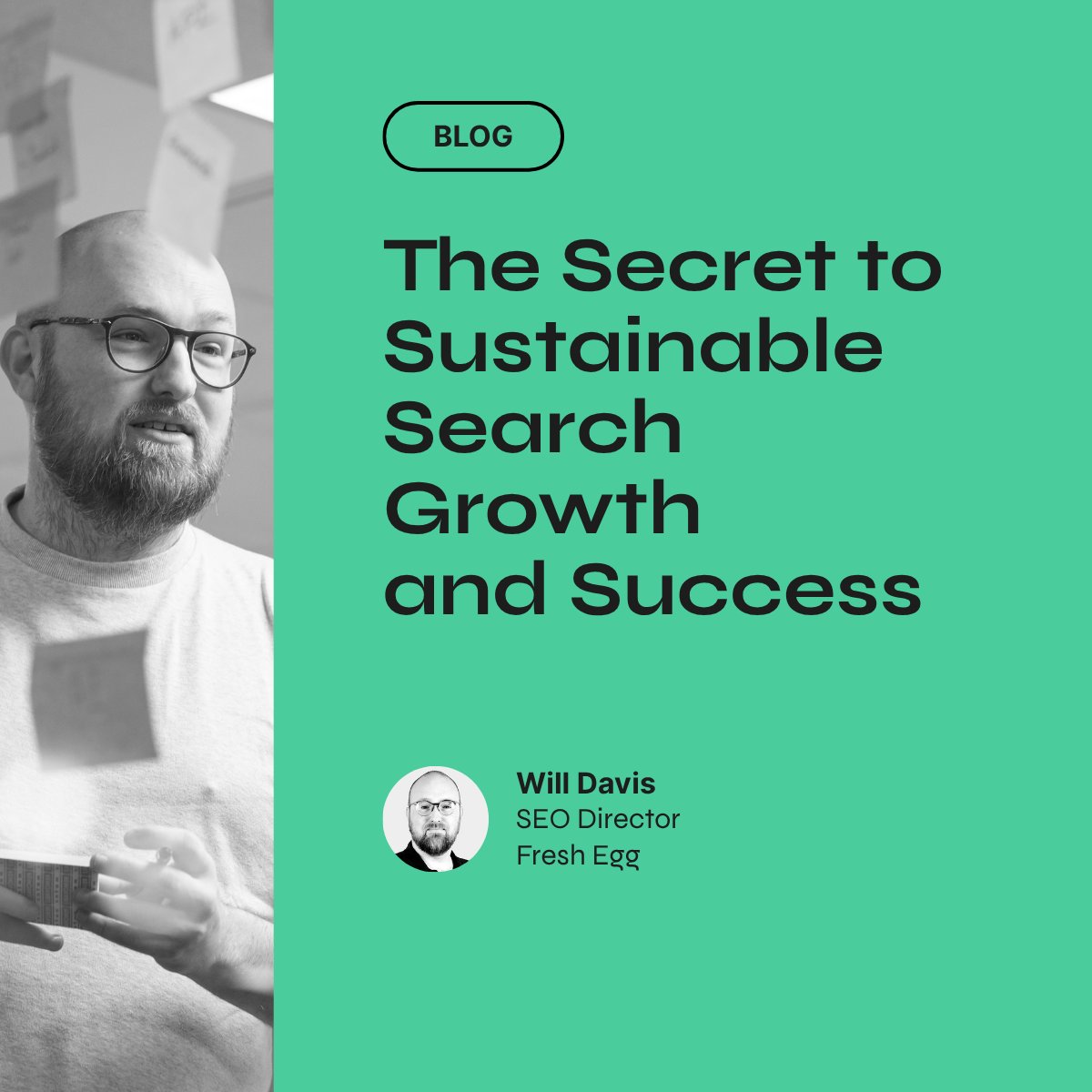 FreshEgg tweet media