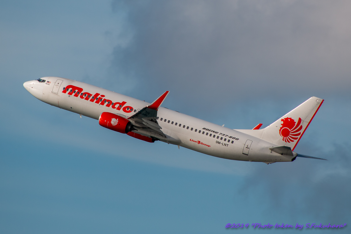 Tga380800's tweet photo. Airline:Malindo Air
Aircraft:B737-800(WL)
Locations:HKT
Date:27/12/2018
Remarks:
#MalindoAir #マリンドエア #OD
#Boeing #B737 #B737800
#HKT #PhuketInternationalAirport #プーケット国際空港 #VTSP
#飛行機好きな人と繋がりたい #飛行機好きな人 #飛行機写真 https://t.co/vINxFI9hAm