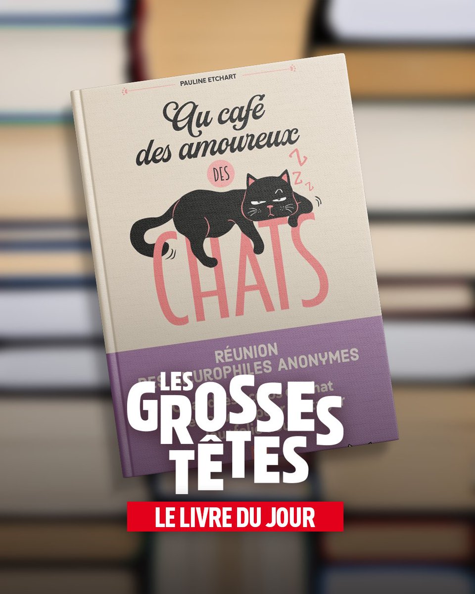 Pétards et feux d'artifice : ce que vous pouvez faire si votre animal  domestique est stressé | Euronews, image size:960x1200