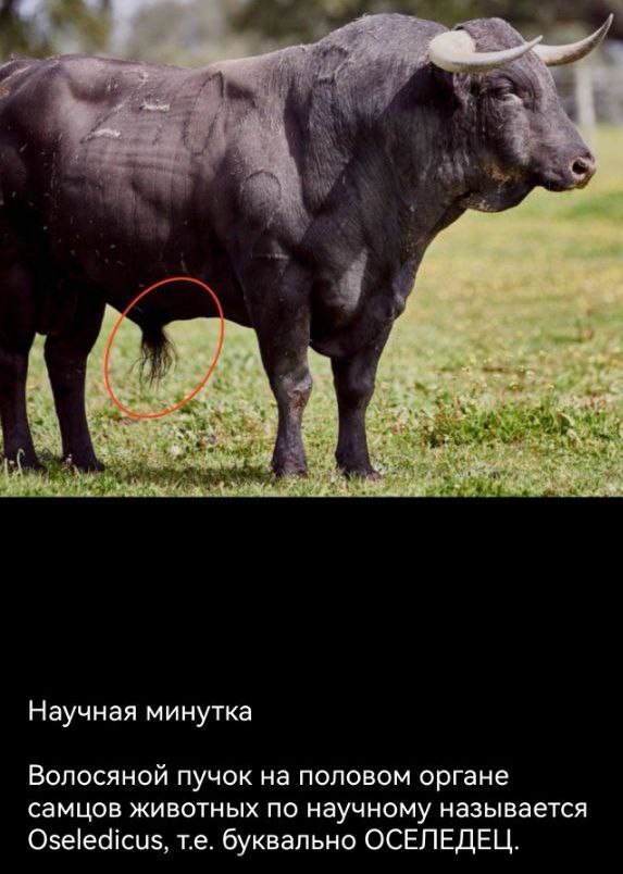 Почему-то я не удивлён...