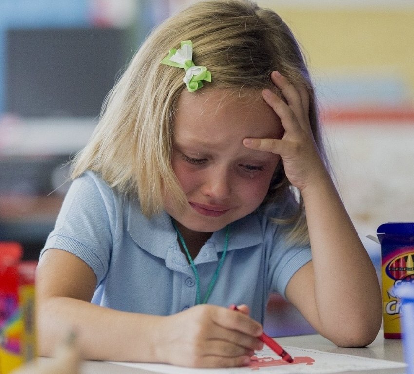 Rhys Wild tweet media