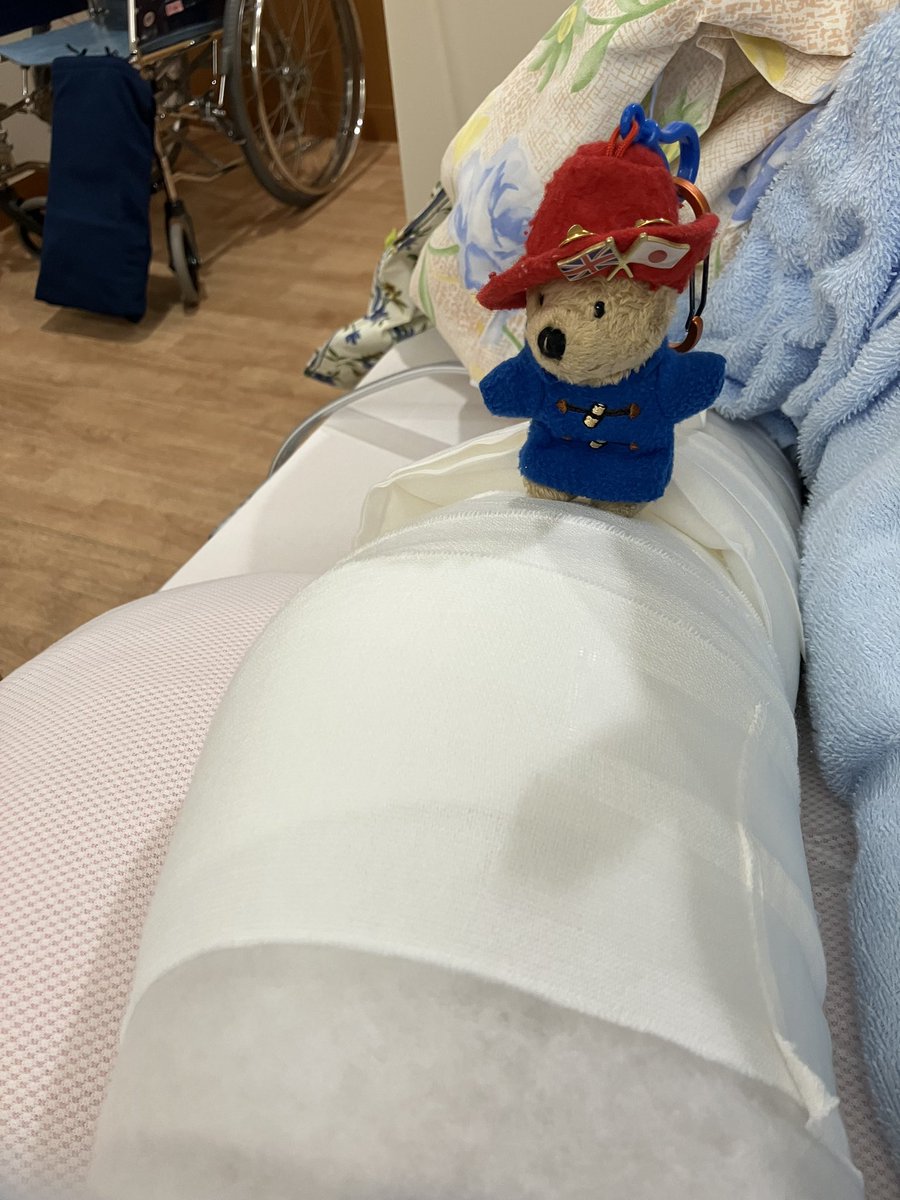 My wife had a knee surgery in 🇯🇵   Little Paddington is looking after her!