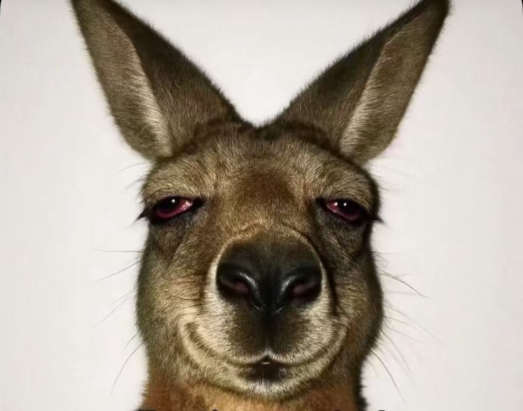 mekky_ayo's tweet image. Abeg how unah take they make this money 💔🤦‍♂️