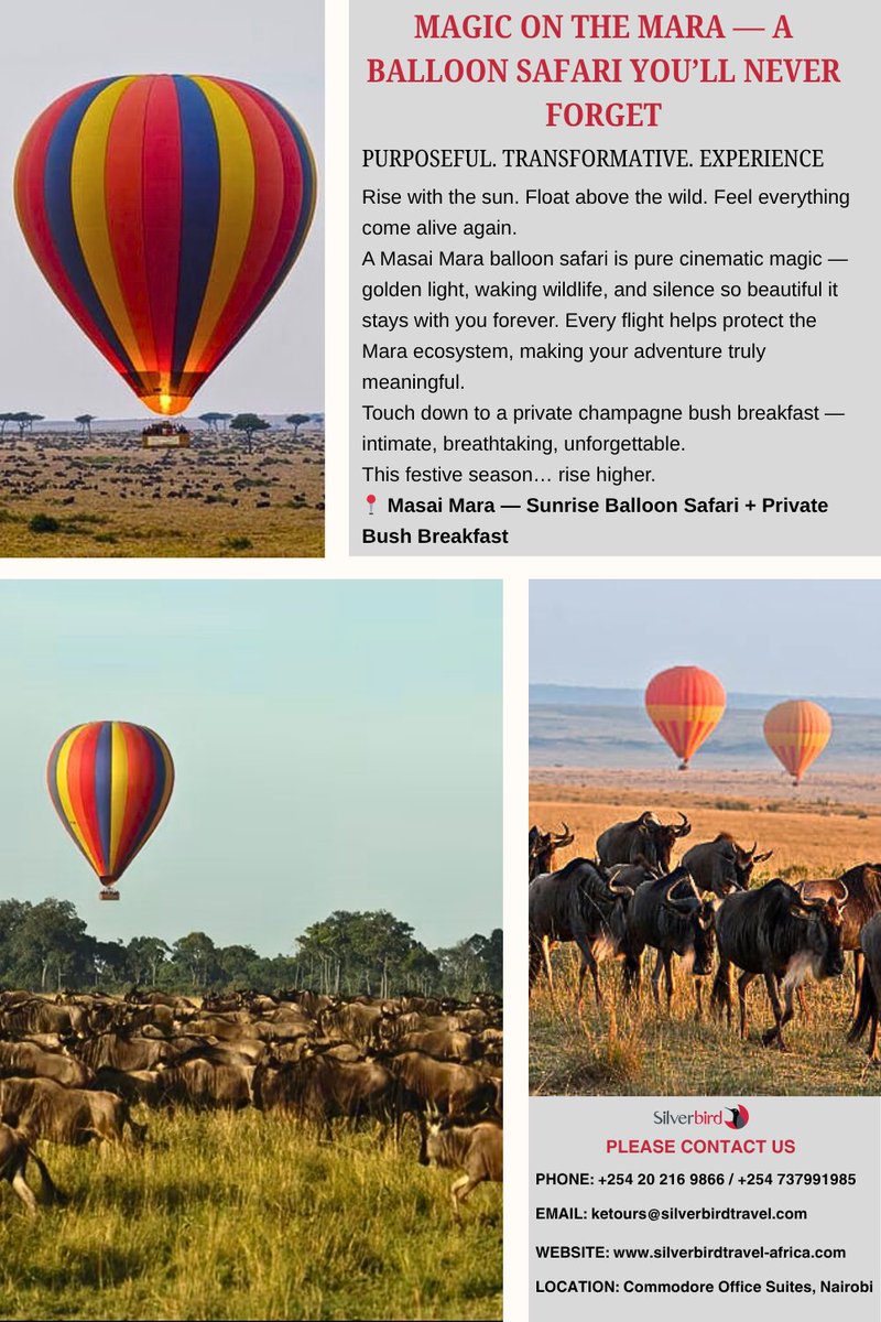 silverbirdtours's tweet image. RISE ABOVE THE WORLD. FLOAT ABOVE THE WILDERNESS.
The sun climbs with you…
The savannah wakes beneath you…
And suddenly, everything feels possible again.
This festive season, rise higher — literally.
📍 Masai Mara — Balloon Safari + Private Bush Breakfast
#balloonsafari #masai