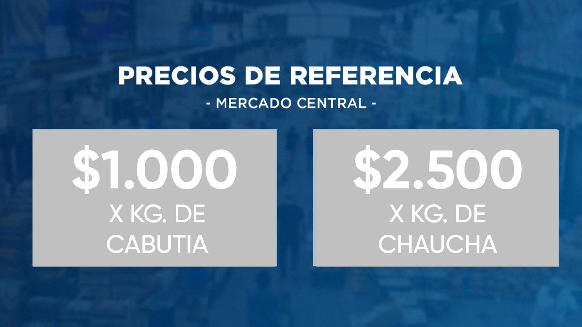 👉 #MañanaSylvestre | 🗣🎙 <a href="/gabilombardia/">Gabriel Lombardia</a>, periodista, desde el Mercado Central nos cuenta los precios de referencia a tener en cuenta a la hora de comprar frutas y verduras 📲 radio10.com.ar