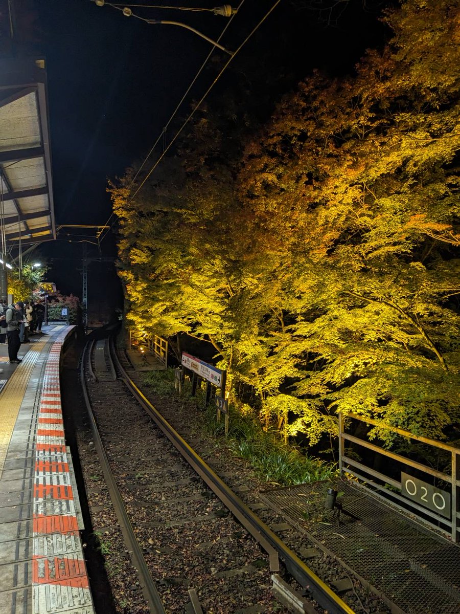 撮影日：2025.11.20（夜） 撮影場所：貴船口駅下車すぐ ”も”うそこは秋