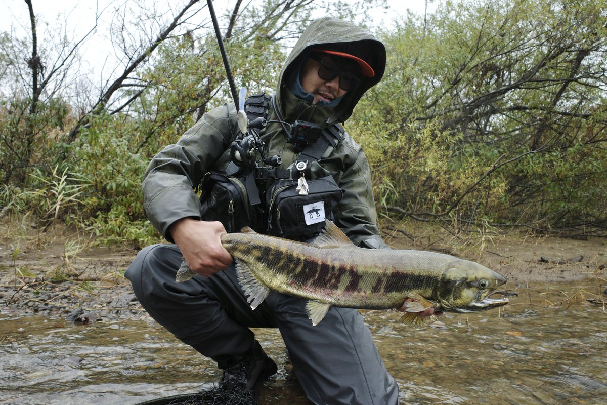 Pike Street Market (@pikestreet_jp) / Posts / X