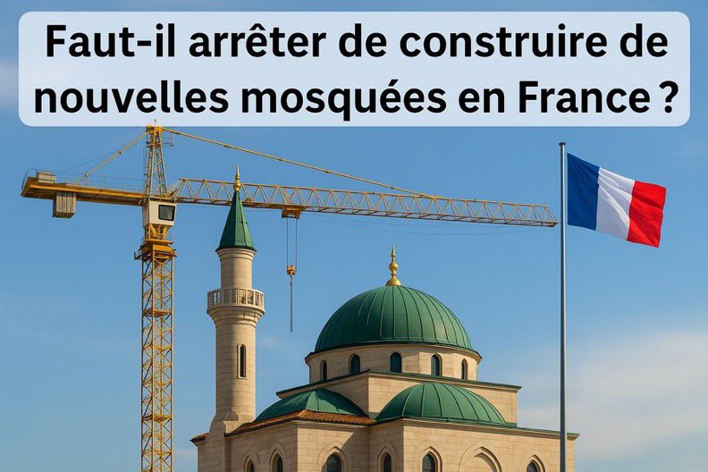 Wolf 🐺 tweet media