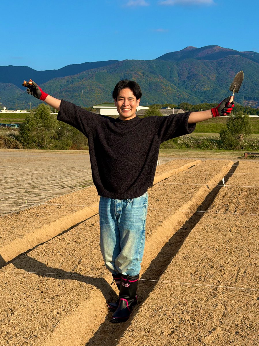 チューリップ🌷