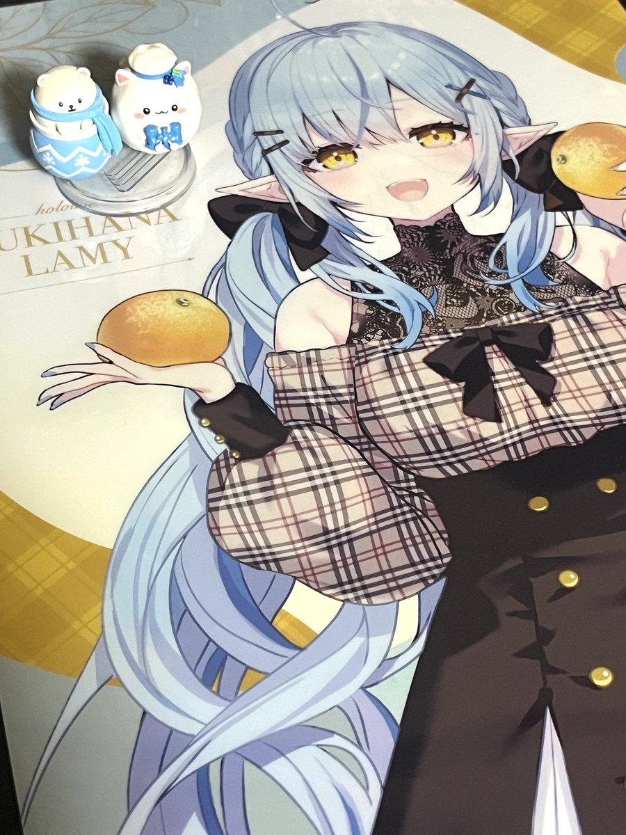 というわけで、セブンイレブンのラミィのクリアファイルを入手っすね