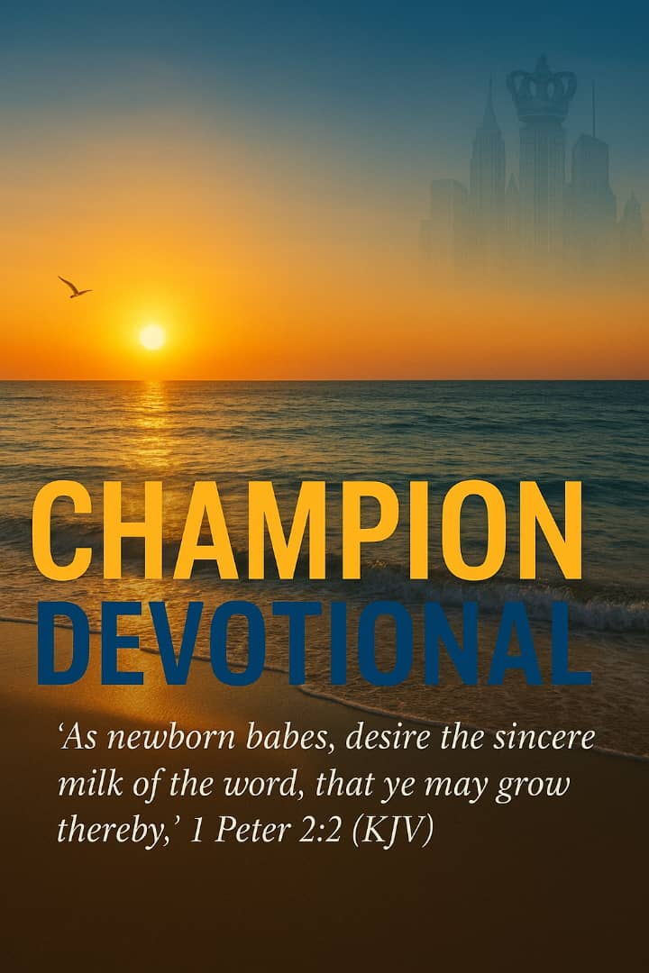 wized749371's tweet image. 