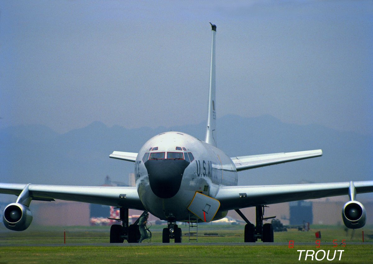 TROUT92241176's tweet image. #黙って真正面をはる