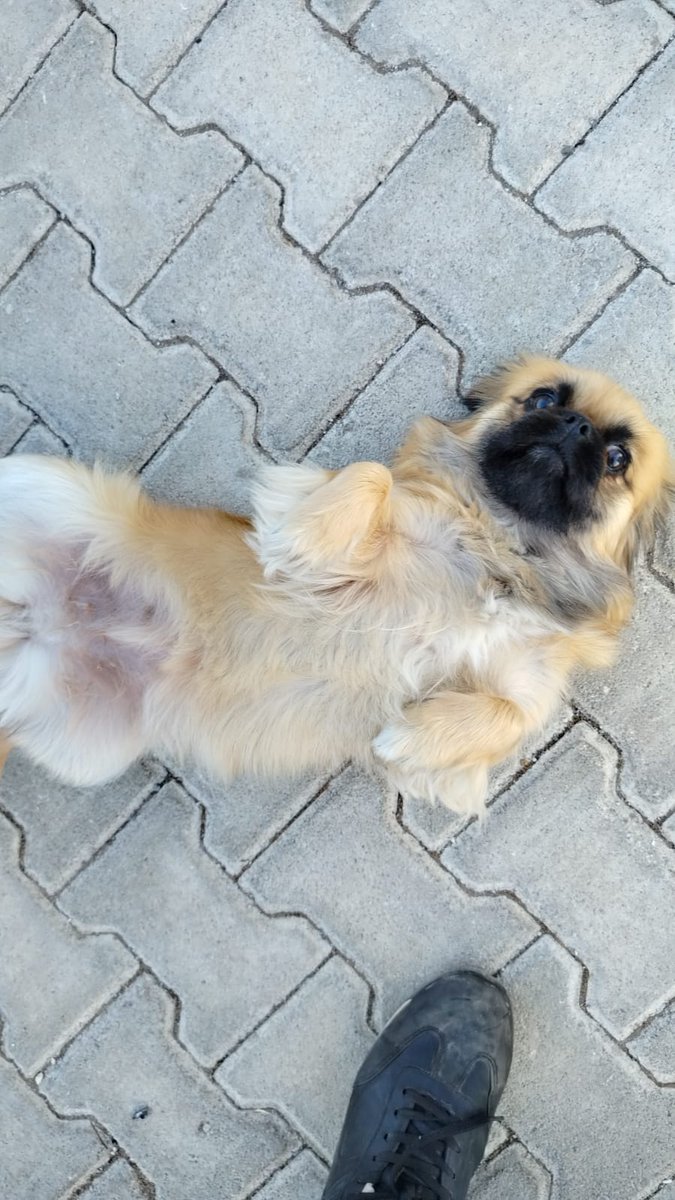 #tjktvyariszamani
Antalya Konyaaltı Deniz çok güzel hava süper kalem ✏️ kağıt can kulağı sizler izliyoruz Yorumcu Arkadaşlar yarış zaman ekibine emekler için canı gönülden teşekkür