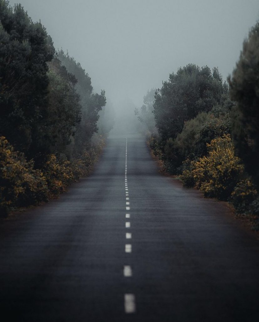 earthcurated's tweet image. — silence