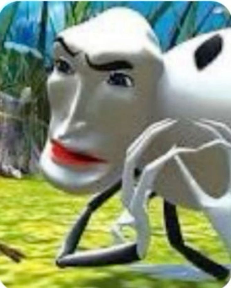 time to steal shawls from my grandmother, her mother my own mother my masi n my grandfather gnna sleep on a huge pile of shawls gnna od on them shawls