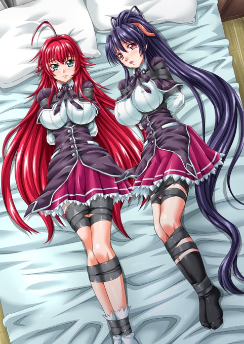 こんばんは!(∩'∀`)∩ 【Skeb】ハイライト6 依頼内容 ハイスクールD×Dの リアス・グレモリーさんと 姫島朱乃さんです(*^▽^*) skebリクエスト募集中です!(ㅅ' ˘ `) よろしくお願い致します! 233