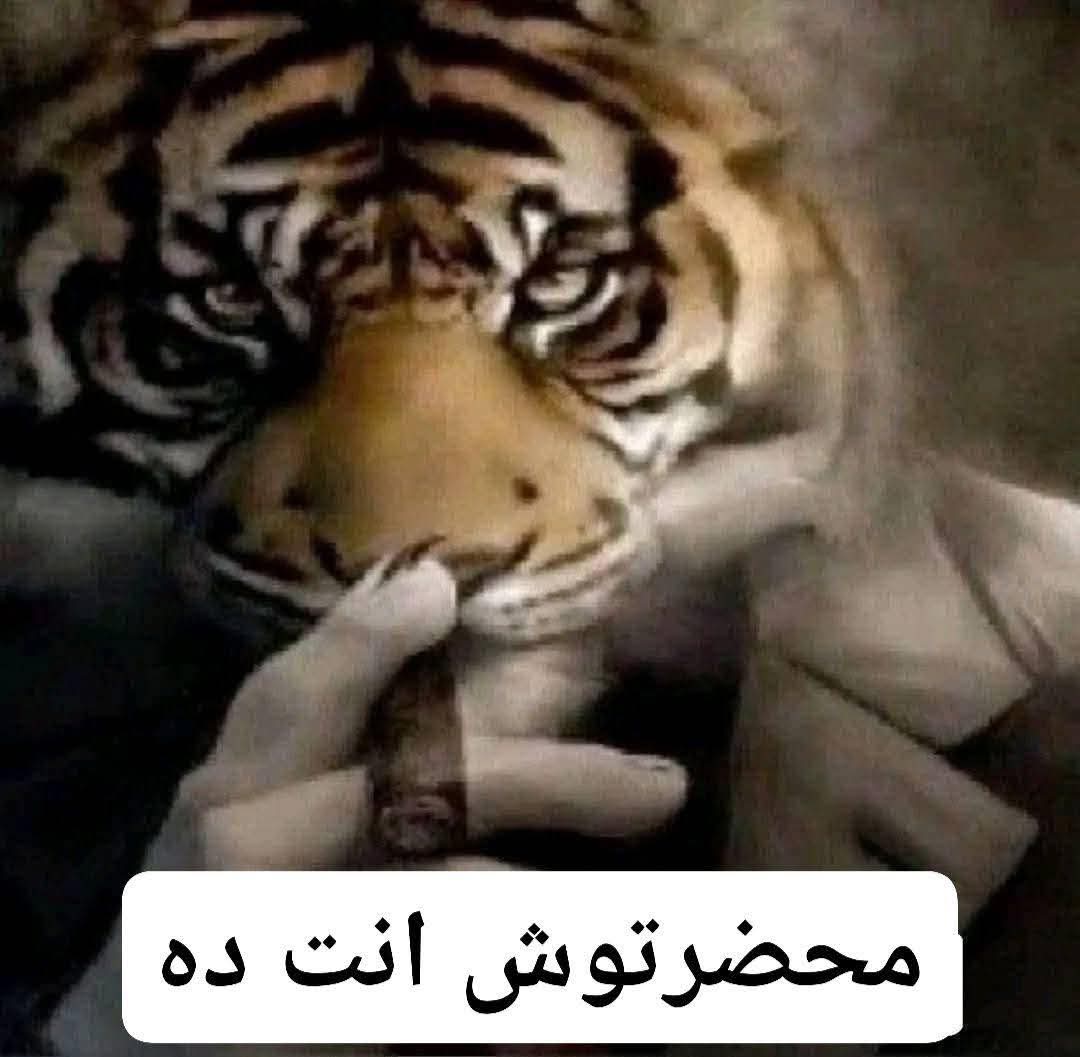 عود درة وحداني في غيط كمون tweet media