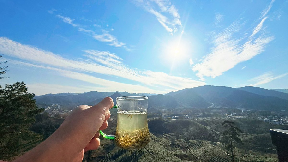 兄弟们，熊市大家都在干啥呀？我又回农村过上了一杯茶，盯着几个破币盯一天的苦日子了。这轮牛市咱们兄弟们都太苦逼了，刚摸到了牛屁股，牛就跑了