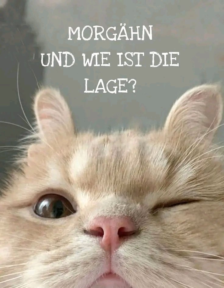 Guten morgen und einen schönen Donnerstag.