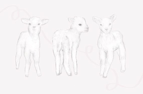 lambfrills's tweet image. 