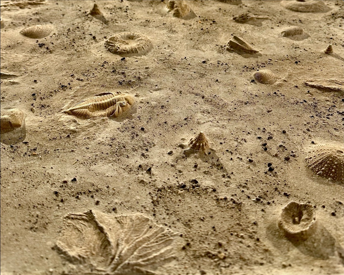 Leitrim Sculpture Centre tweet media