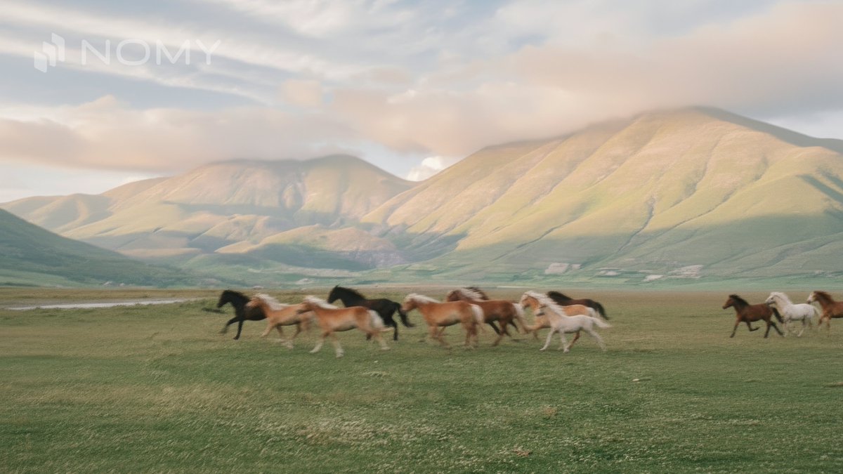 The herd follows trends. Smart money builds positions before they become obvious.

nomyfi.com