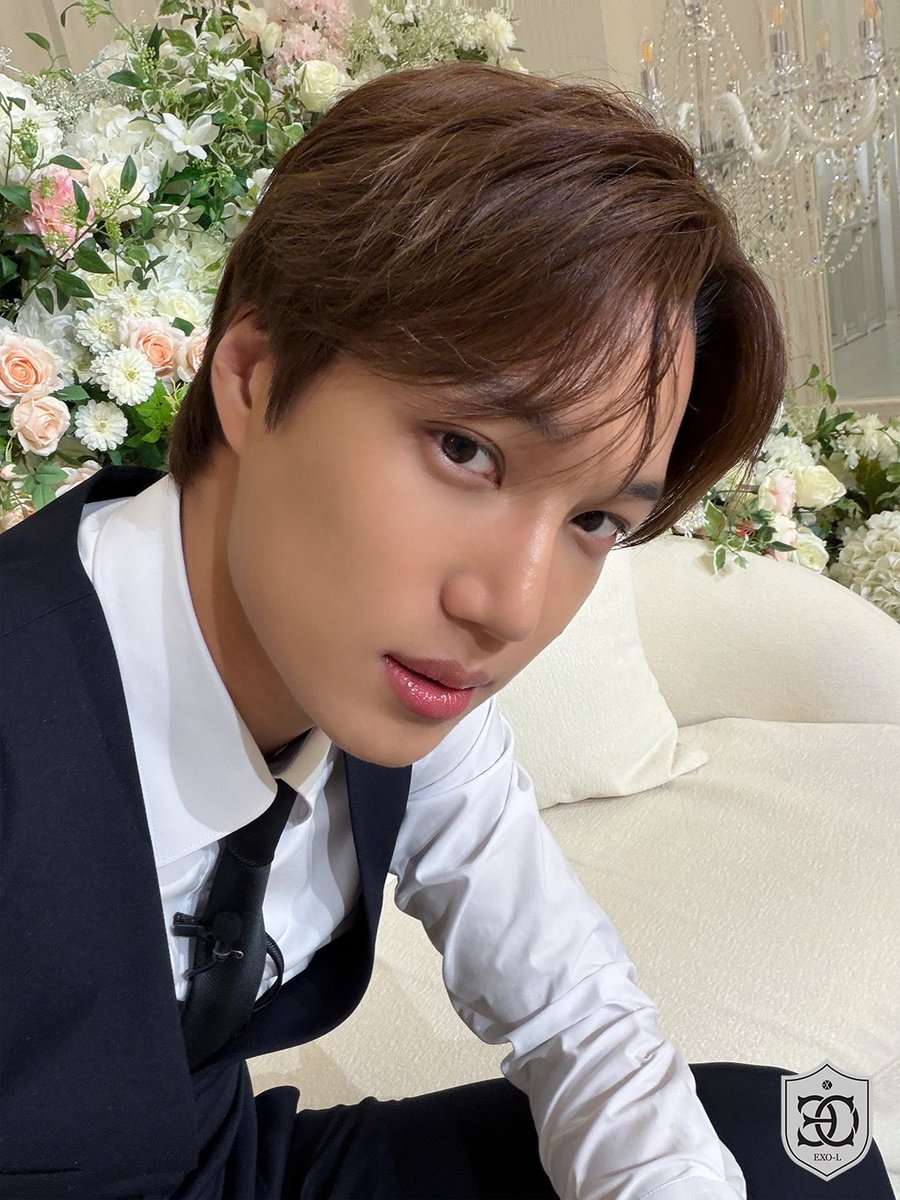 knockknock0408's tweet image. KAI