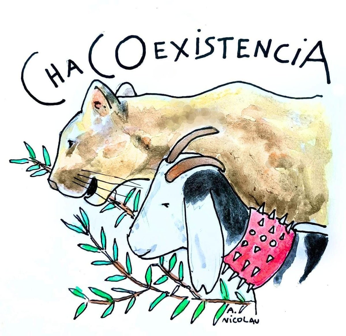 Decidimos crear un espacio para nuestro proyecto en instagram 🐾💫 
A quienes les interese pueden seguirnos: @chacoexistencia