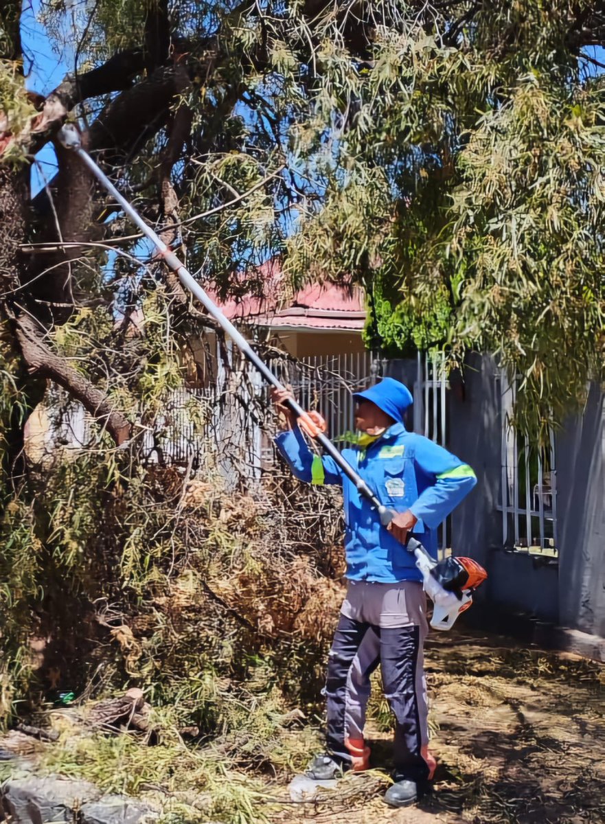 Sol Plaatje Municipality tweet media