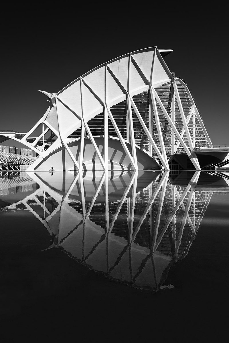 PelinGenc_'s tweet image. BnW beauties on @SuperRare