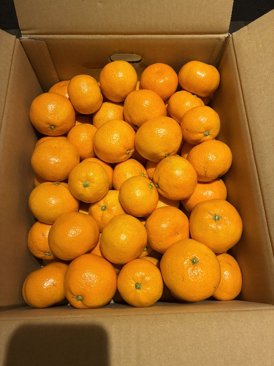 みかんの会から美味しいみかんが届きました！