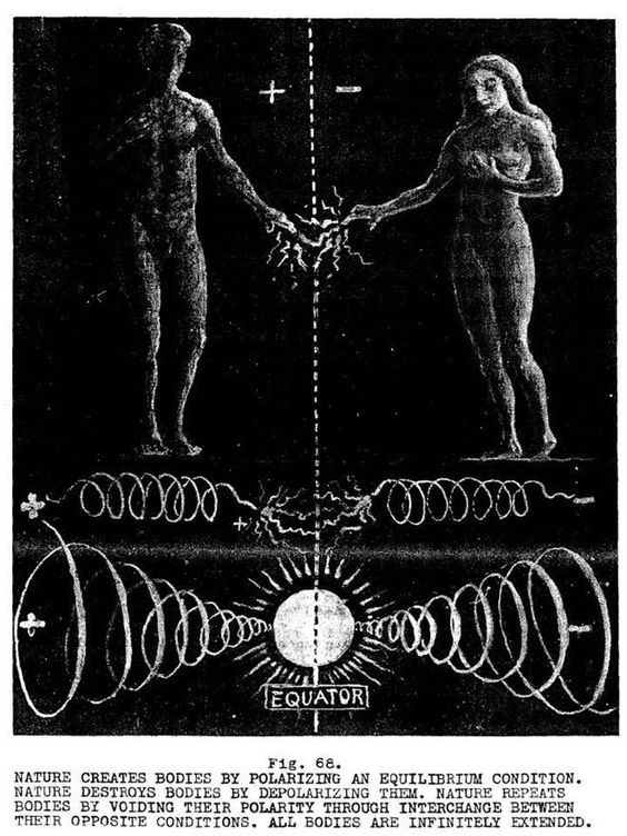 Archetype Vision tweet media
