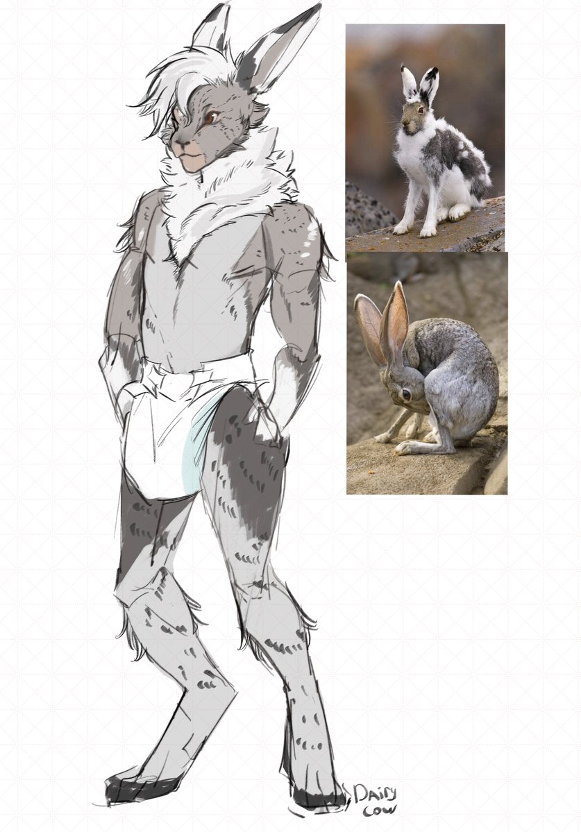 anci_ci's tweet image. Hear me out 
Padded  wild hare